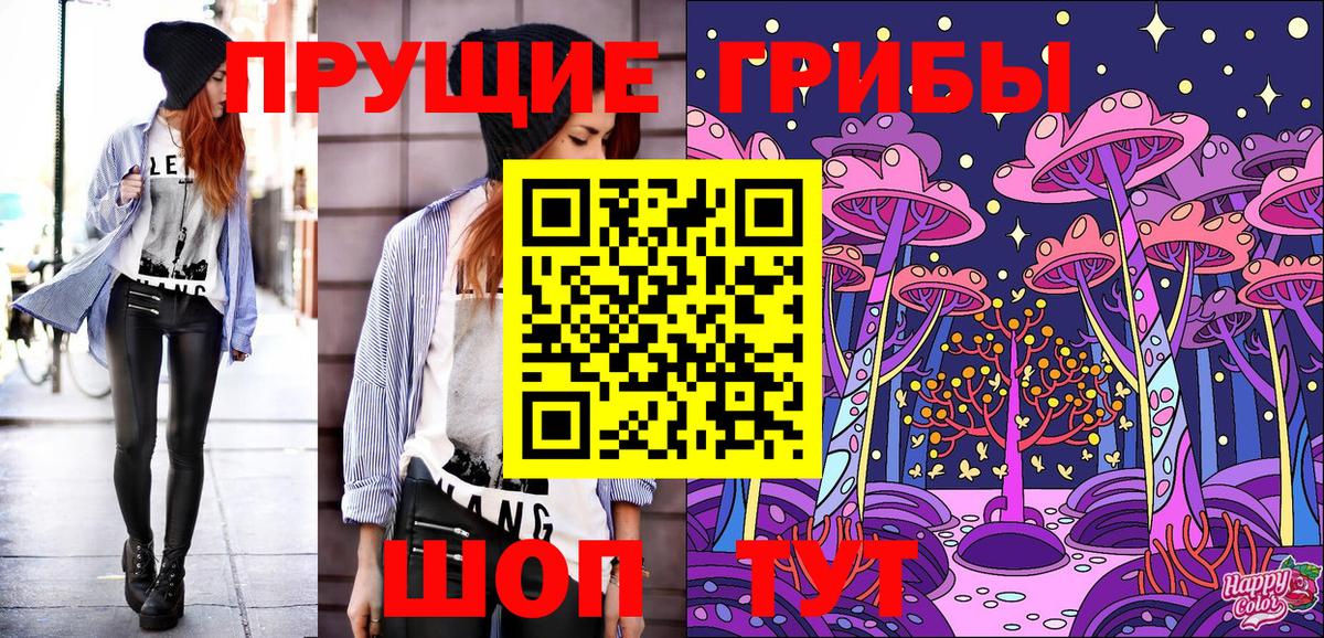Всеволожск  Псилоцибиновые грибы GOLDEN TEACHER  наркота  Вход с VPN 