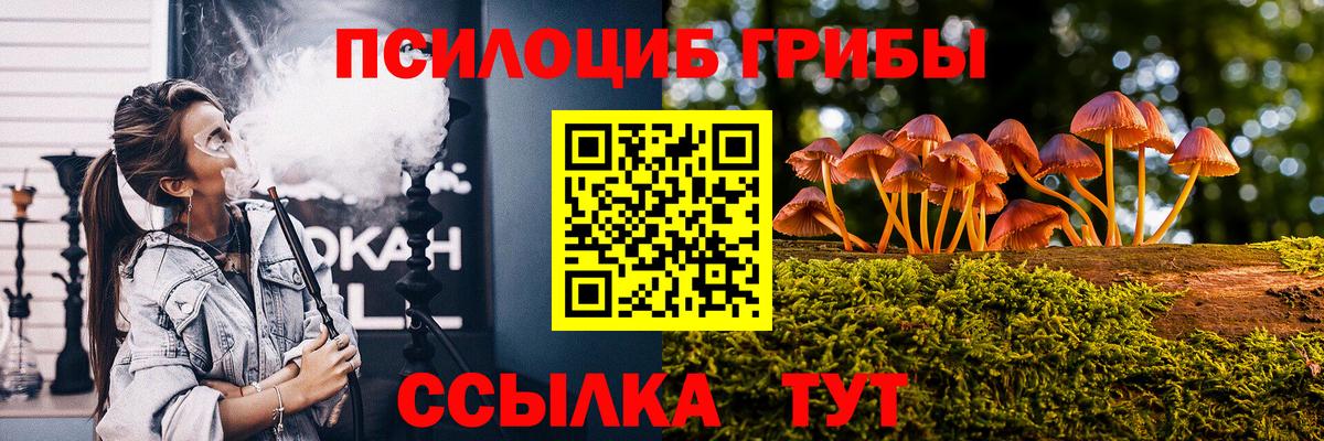 Псилоцибиновые грибы Psilocybe Всеволожск